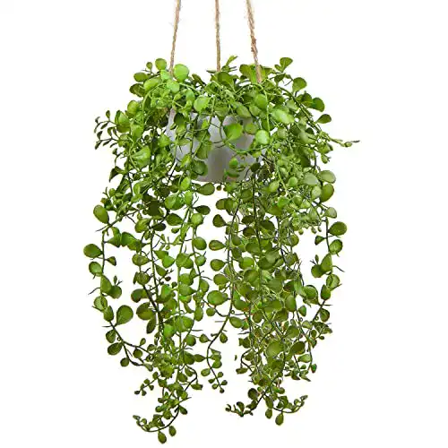 Hängepflanze Briful Künstliche Ficus Pumila für Wanddekoration