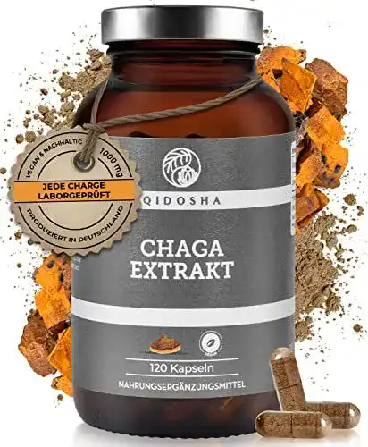 Chaga Qidosha Extrakt (5:1) Kapseln, 120 Stück, hochdosiert