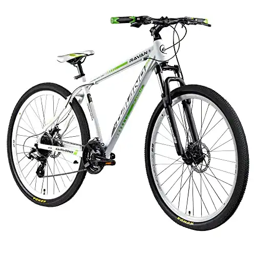 Galano Mountainbike Ravan 29 Zoll Hardtail bis 500 Euro
