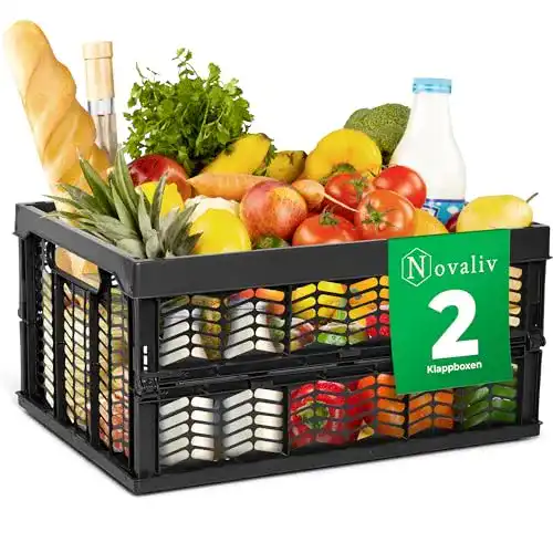 Klappbox Novaliv faltbar und stabil 2x 30L in Schwarz