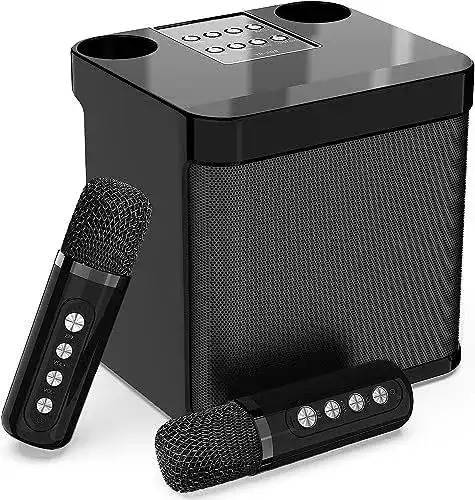 Karaoke-Mikrofon MUMUWIND mit Bluetooth und 2 Mikrofonen