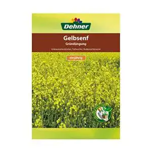Senf-Samen Dehner Saatgut für Gründüngung, Gelbsenf, 500 g