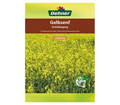 Senf-Samen Dehner Saatgut für Gründüngung, Gelbsenf, 500 g