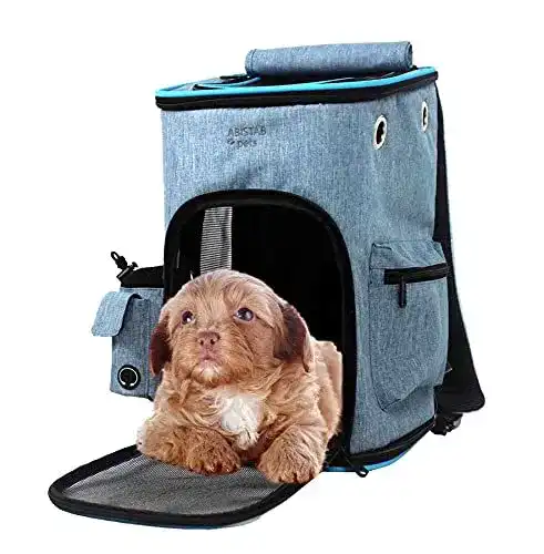 Hunderucksack Abistab Pets faltbarer Rucksack für Haustiere bis 5 kg
