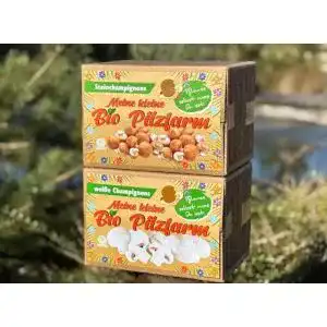 Pilzkultur Bio Champignon Komplettset für die eigene Zucht
