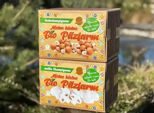Pilzkultur Bio Champignon Komplettset für die eigene Zucht