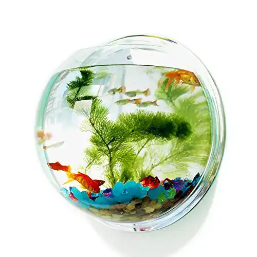 Goldfischglas Pinsjar Aquarium mit Spiegel für die Wandmontage