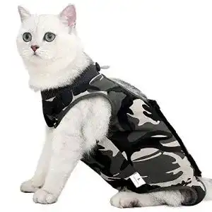 Katzenbody Lianzimau Nach Operation Einteiler für Katzen