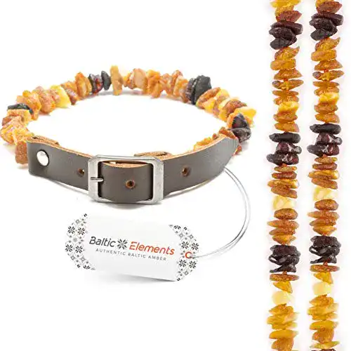 Bernstein-Halsband für Hunde und Katzen mit natürlichem Zeckenschutz