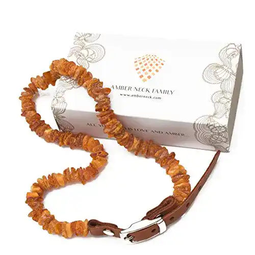 Bernstein-Halsband für Hunde Amber Neck Lux (5560) aus baltischem Bernstein