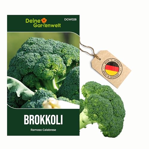 Brokkoli Samen Ramoso Calabrese für den eigenen Garten