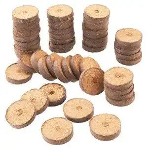 Quelltabletten Meister Kokos 3,5 cm – Set mit 50 Stück