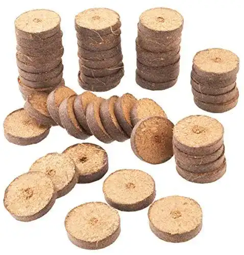 Quelltabletten Meister Kokos 3,5 cm – Set mit 50 Stück