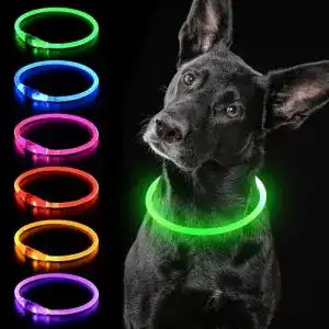 Hunde Leuchthalsband modern