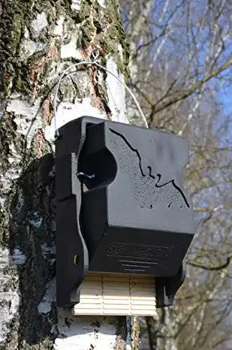 Fledermauskasten Schwegler Naturschutzprodukt mit Inspektionsluke