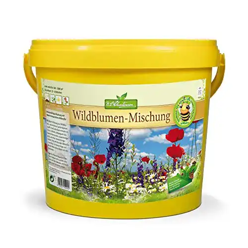 Blumenwiese-Samen von N.L. Chrestensen für Wildblumen im Garten