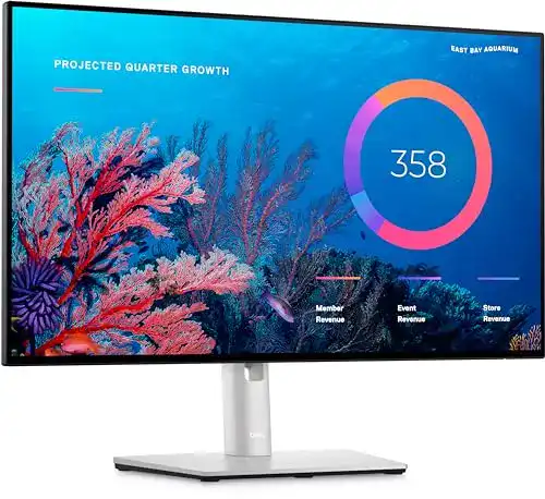 Dell U2422HE UltraSharp 24 Zoll Full HD USB-C Monitor
