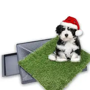 Hundetoilette von Yorking für Welpen und kleine Hunde, wiederverwendbar