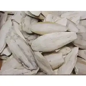 Sepiaschalen Lasama Bruch 100 g für Terraristik und Haustiere