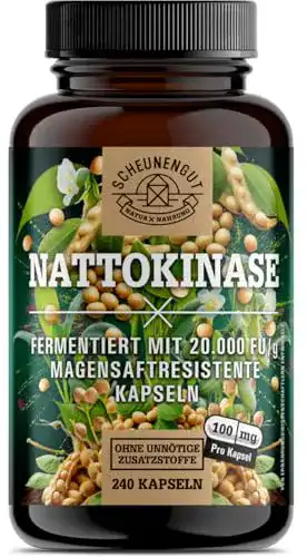 Nattokinase Kapseln 240 Stück je 100 mg (20.000 FU/g)
