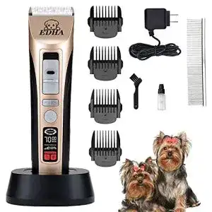 Profi-Hundeschermaschine günstig