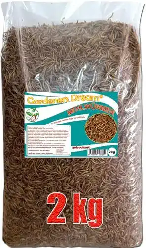 Getrocknete Mehlwürmer von GardenersDream als nahrhaftes Vogelfutter