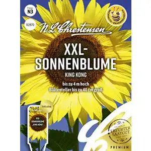 Sonnenblumen Samen für XXL- und King Kong Sorten