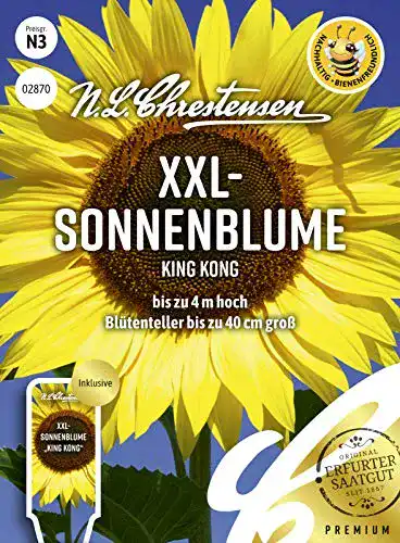 Sonnenblumen Samen für XXL- und King Kong Sorten