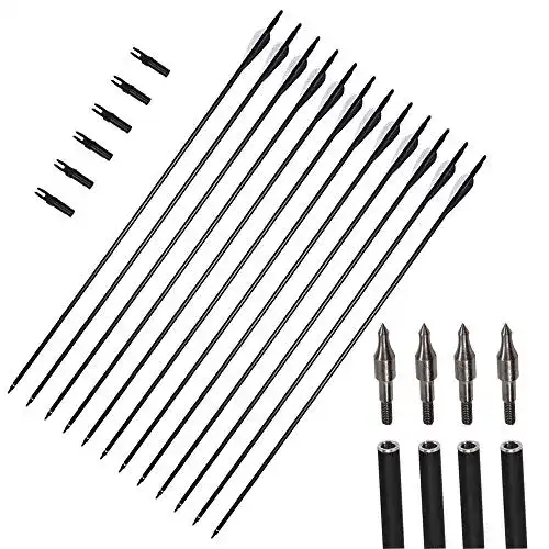 Carbonpfeile 3Z Archery 12er Pack 31 Zoll für Bogenschießen