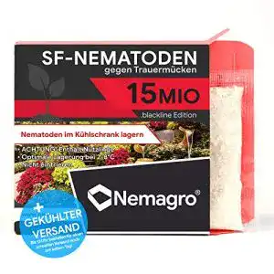 Nematoden Nemagro SF zur Bekämpfung von Trauermücken und Ameisen