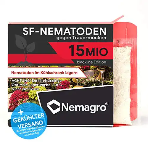 Nematoden Nemagro SF zur Bekämpfung von Trauermücken und Ameisen