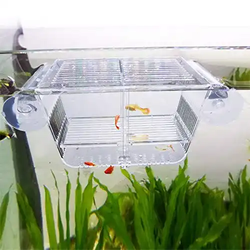 Fischzuchtbecken Capetsma – Acryl Fisch-Isolationsbox für Aquarien