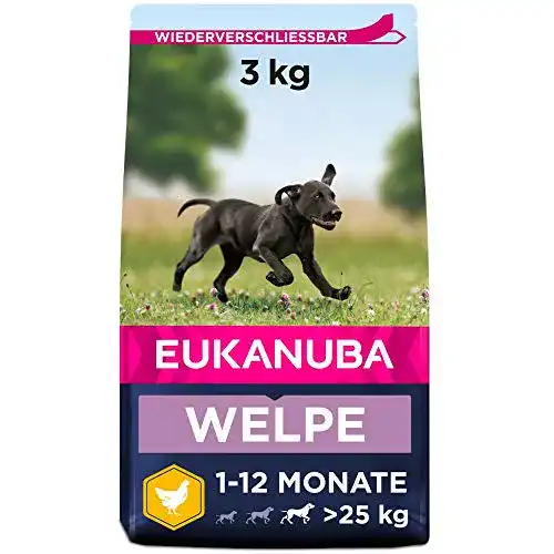 Eukanuba Welpenfutter mit frischem Huhn für große Rassen