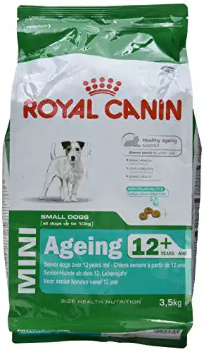 Royal Canin Hundefutter Mini Ageing für kleine Rassen ab 12 Jahren