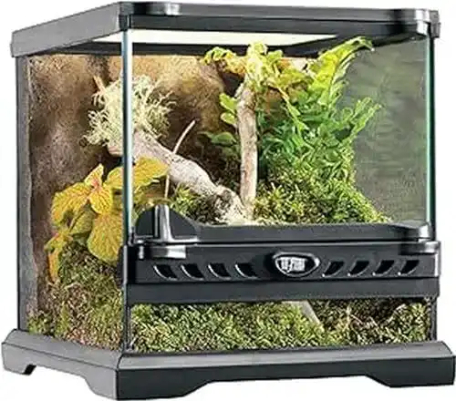 Terrarium Exo Terra Reptilien aus Glas mit Frontbelüftung 20 x 20 x 20 cm