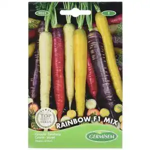 Möhren Samen Germisem Rainbow F1 Color Mix für den Garten