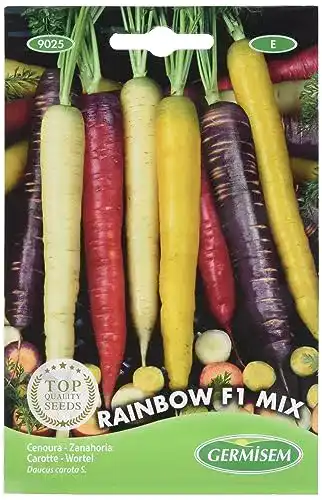 Möhren Samen Germisem Rainbow F1 Color Mix für den Garten