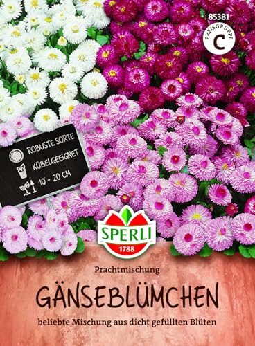 Gänseblümchen Samen von Sperli – Prachtmischung für Garten und Balkon