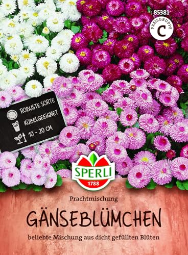 Gänseblümchen Samen von Sperli – Prachtmischung für Garten und Balkon