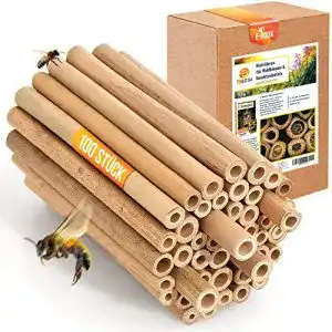 Füllmaterial Insektenhotel Beesi mit 100 Bambusröhrchen