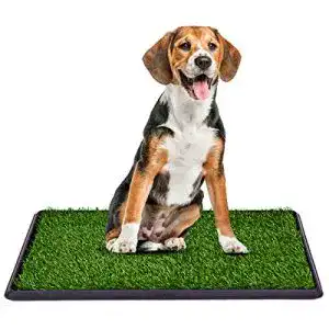 Hundetoilette mit Rasen für Hunde von COSTWAY