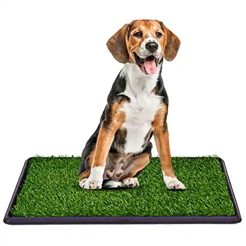 Hundetoilette mit Rasen für Hunde von COSTWAY