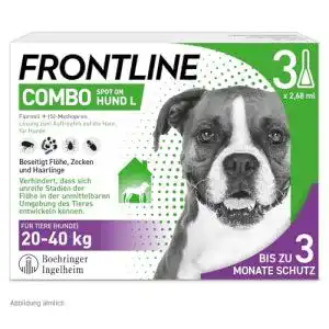 Spot-On für Hunde Effektive Floh- und Zeckenbekämpfung