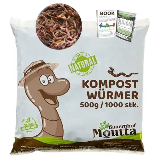 Kompostwürmer Moutta 1000 Stück (500g) Eisenia Regenwürmer für Kompostierung