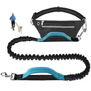 Hunde-Joggingleine für sicheres Laufen mit Ihrem Hund