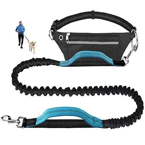 Hunde-Joggingleine für sicheres Laufen mit Ihrem Hund