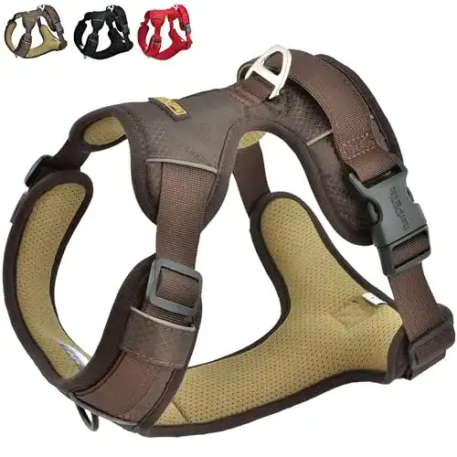 Hundegeschirr mit Brustring von funPETic – Essential Modell für große Hunde