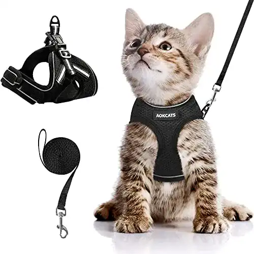 Katzengeschirr mit Leine für kleine Katzen und Kaninchen