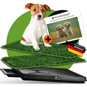Hundetoilette PfotenWunder mit Easy-Wash-Rasen für Hunde