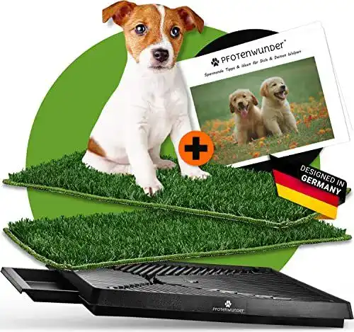 Hundetoilette PfotenWunder mit Easy-Wash-Rasen für Hunde